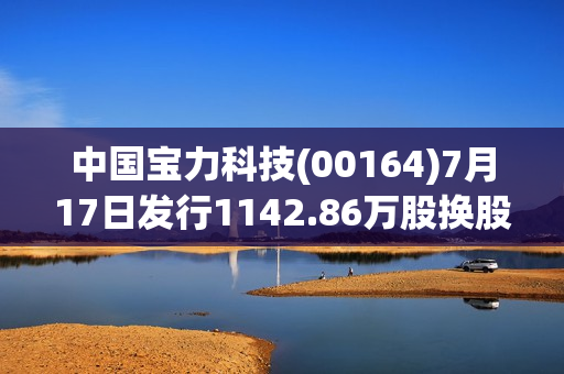 中国宝力科技(00164)7月17日发行1142.86万股换股股份 第1张