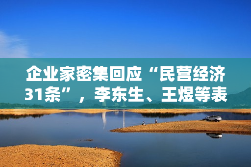 企业家密集回应“民营经济31条”，李东生、王煜等表态 第1张