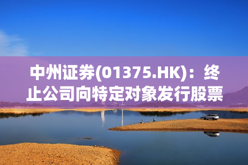 中州证券(01375.HK)：终止公司向特定对象发行股票并撤回申请文件 第1张