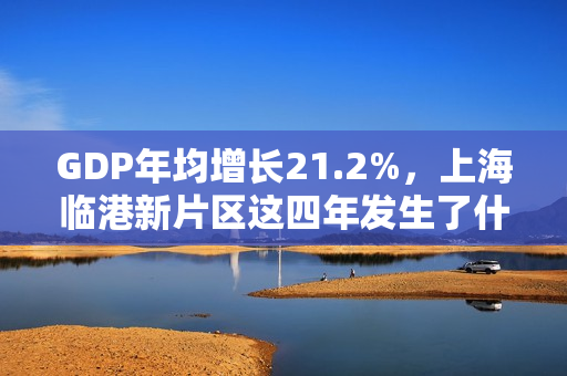 GDP年均增长21.2%，上海临港新片区这四年发生了什么？ 第1张