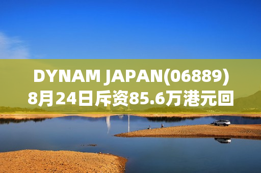 DYNAM JAPAN(06889)8月24日斥资85.6万港元回购18万股 第1张