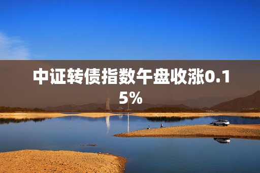 中证转债指数午盘收涨0.15% 第1张