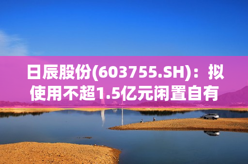 日辰股份(603755.SH)：拟使用不超1.5亿元闲置自有资金进行现金管理 第1张