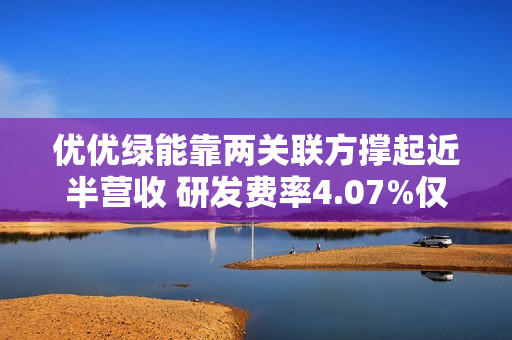 优优绿能靠两关联方撑起近半营收 研发费率4.07%仅为同行均值一半 第1张