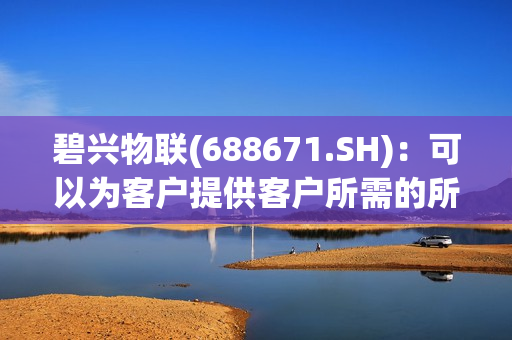 碧兴物联(688671.SH)：可以为客户提供客户所需的所有海水监测技术和产品 第1张