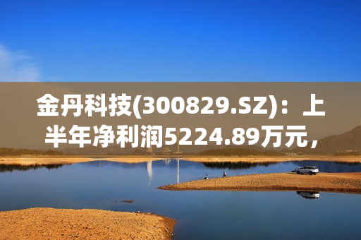 金丹科技(300829.SZ)：上半年净利润5224.89万元，同比下降40.72% 第1张