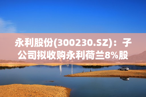 永利股份(300230.SZ)：子公司拟收购永利荷兰8%股权 第1张