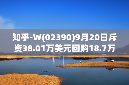 知乎-W(02390)9月20日斥资38.01万美元回购18.7万股 第1张