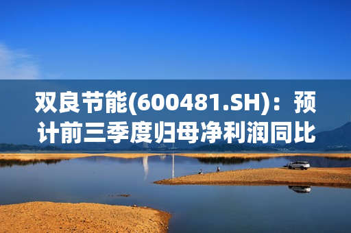 双良节能(600481.SH)：预计前三季度归母净利润同比增长62.59%到92.70% 第1张