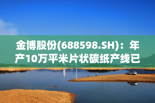 金博股份(688598.SH)：年产10万平米片状碳纸产线已完成建设，相关产品已在国内头部电堆企业验证 第1张