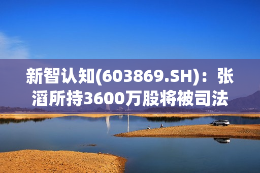 新智认知(603869.SH)：张滔所持3600万股将被司法拍卖 第1张