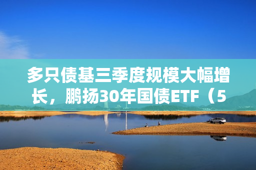 多只债基三季度规模大幅增长，鹏扬30年国债ETF（511090）涨0.20% 第1张