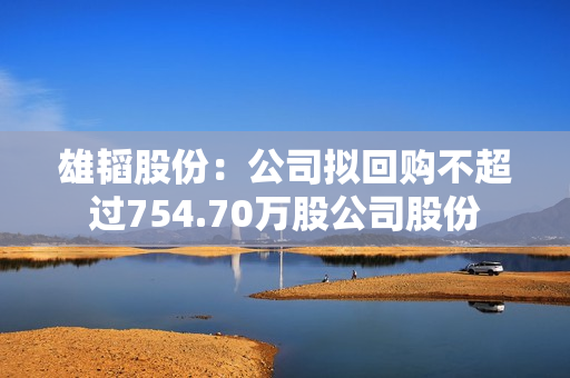 雄韬股份：公司拟回购不超过754.70万股公司股份 第1张