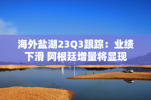 海外盐湖23Q3跟踪：业绩下滑 阿根廷增量将显现