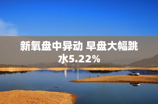 新氧盘中异动 早盘大幅跳水5.22%