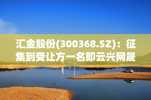 汇金股份(300368.SZ)：征集到受让方一名即云兴网晟持股49%股东肖杨 第1张