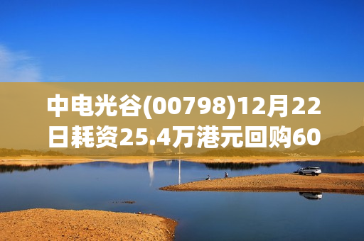 中电光谷(00798)12月22日耗资25.4万港元回购60万股