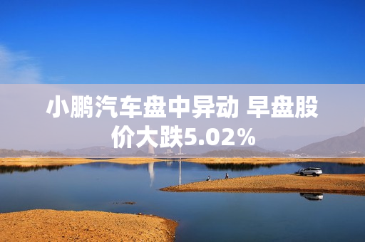 小鹏汽车盘中异动 早盘股价大跌5.02%