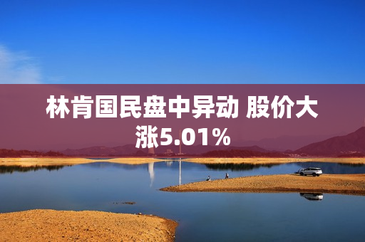 林肯国民盘中异动 股价大涨5.01%