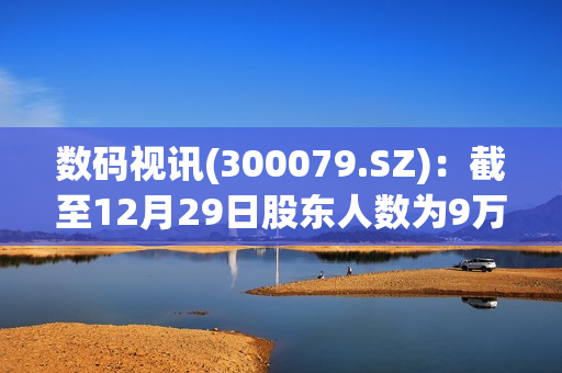 数码视讯(300079.SZ)：截至12月29日股东人数为9万余人