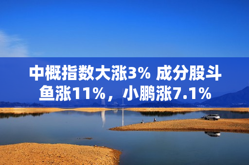 中概指数大涨3% 成分股斗鱼涨11%，小鹏涨7.1% 第1张