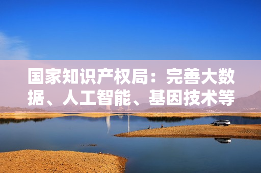 国家知识产权局：完善大数据、人工智能、基因技术等新领域新业态专利审查标准