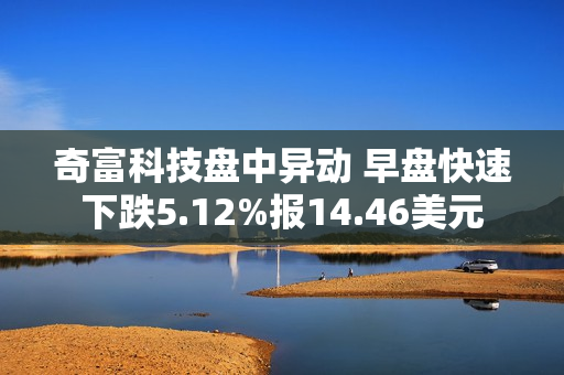 奇富科技盘中异动 早盘快速下跌5.12%报14.46美元 第1张