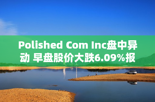 Polished Com Inc盘中异动 早盘股价大跌6.09%报7.86美元 第1张