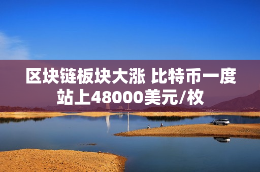 区块链板块大涨 比特币一度站上48000美元/枚 第1张