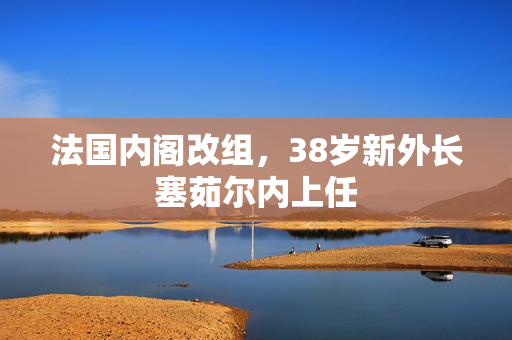 法国内阁改组，38岁新外长塞茹尔内上任