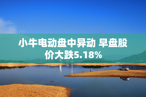 小牛电动盘中异动 早盘股价大跌5.18% 第1张