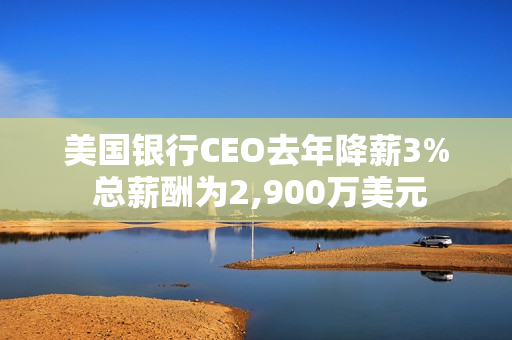 美国银行CEO去年降薪3% 总薪酬为2,900万美元