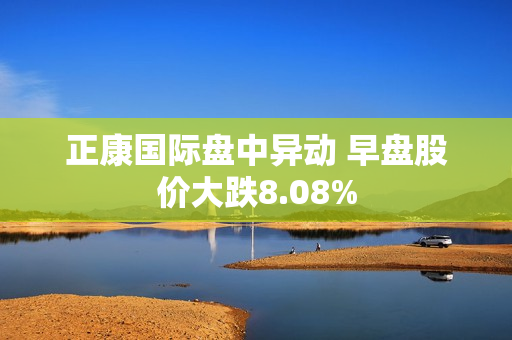 正康国际盘中异动 早盘股价大跌8.08%