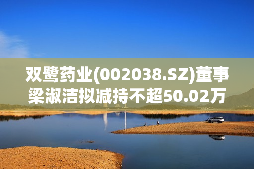 双鹭药业(002038.SZ)董事梁淑洁拟减持不超50.02万股 第1张