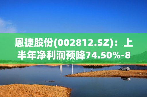 恩捷股份(002812.SZ)：上半年净利润预降74.50%-81.62%