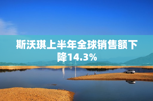 斯沃琪上半年全球销售额下降14.3% 第1张