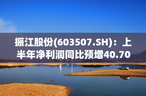 振江股份(603507.SH)：上半年净利润同比预增40.70%至79.08% 第1张