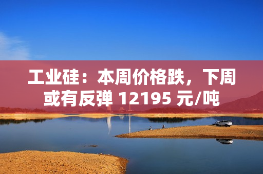 工业硅：本周价格跌，下周或有反弹 12195 元/吨