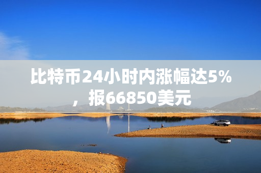 比特币24小时内涨幅达5%，报66850美元 第1张