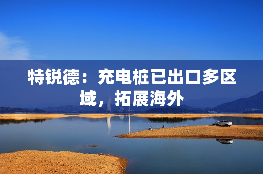 特锐德：充电桩已出口多区域，拓展海外