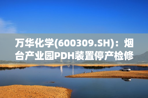 万华化学(600309.SH)：烟台产业园PDH装置停产检修 第1张