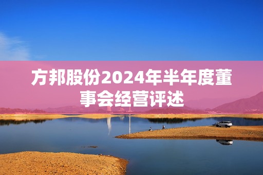 方邦股份2024年半年度董事会经营评述