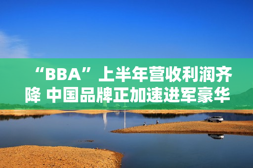 “BBA”上半年营收利润齐降 中国品牌正加速进军豪华车市场