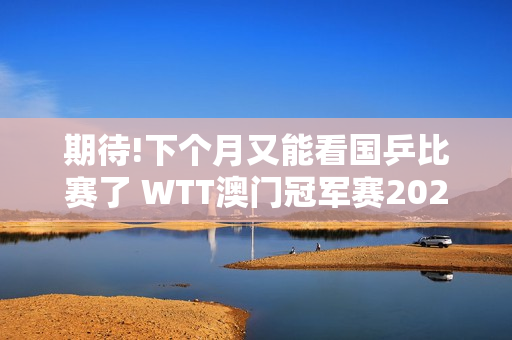 期待!下个月又能看国乒比赛了 WTT澳门冠军赛2024首批参赛名单揭晓