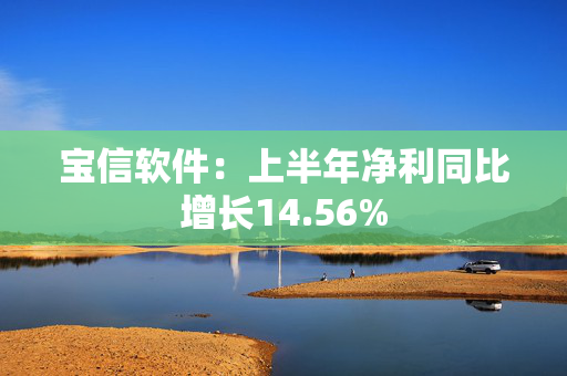 宝信软件：上半年净利同比增长14.56%