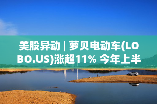 美股异动 | 萝贝电动车(LOBO.US)涨超11% 今年上半年营业收入增长49%