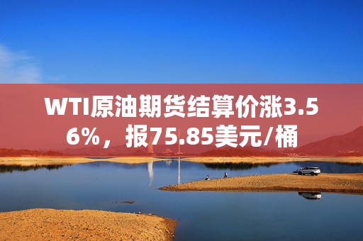 WTI原油期货结算价涨3.56%，报75.85美元/桶