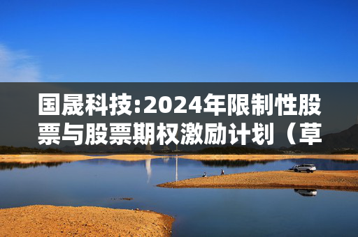 国晟科技:2024年限制性股票与股票期权激励计划（草案）摘要公告