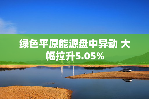 绿色平原能源盘中异动 大幅拉升5.05%