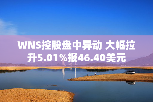 WNS控股盘中异动 大幅拉升5.01%报46.40美元 第1张